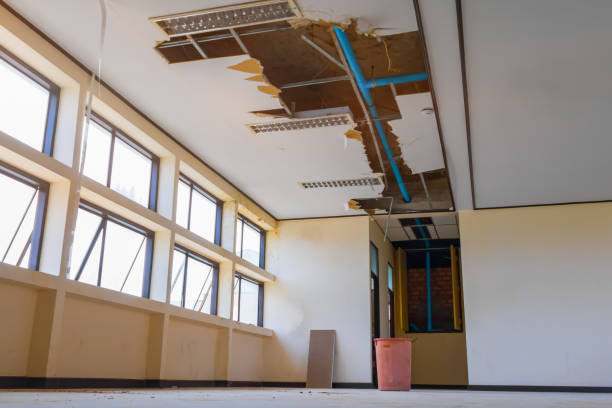 Best Professional water damage repair  in Bridgeport, PA