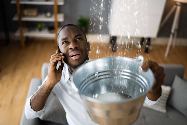 Carpet water damage restoration in Bridgeport, PA