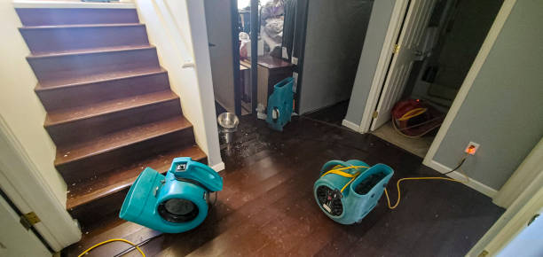 Best Water damage restoration near me  in Bridgeport, PA