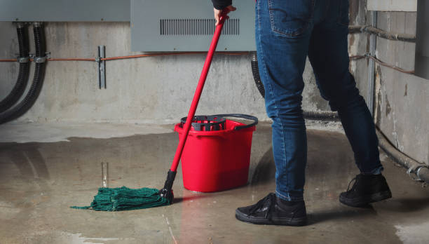 Best Basement water damage restoration  in Bridgeport, PA