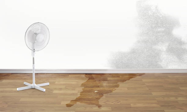 Best Flood restoration services  in Bridgeport, PA