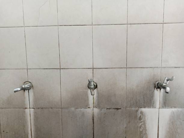 Best Basement water damage restoration  in Bridgeport, PA