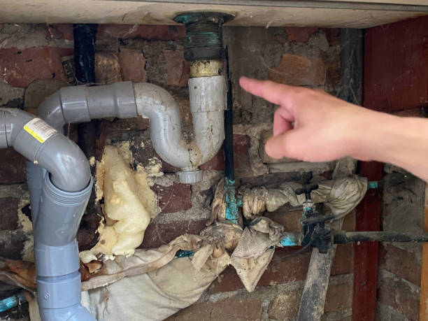 Best Fire Damage Restoration  in Bridgeport, PA