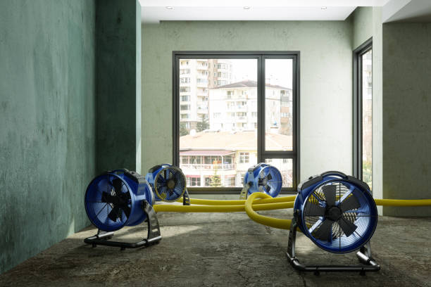 Best Local water damage restoration  in Bridgeport, PA
