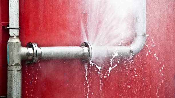 Best Water damage cleanup near me  in Bridgeport, PA