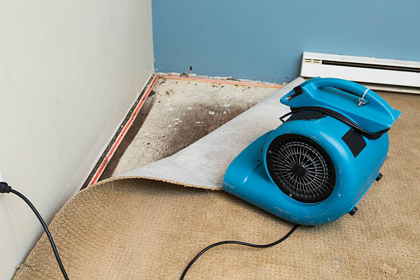 Water damage restoration mold remediation in Bridgeport, PA